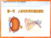 4.6.1人体对外界环境的感知-2021-2022学年七年级生物下学期同步课件（人教版）