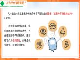 4.6.1人体对外界环境的感知-2021-2022学年七年级生物下学期同步课件（人教版）