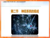 4.6.2神经系统的组成-2021-2022学年七年级生物下学期同步课件（人教版）