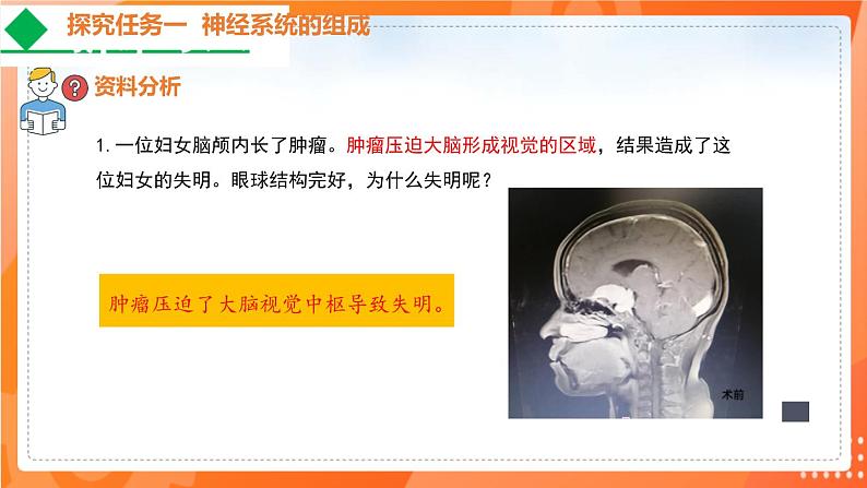 4.6.2神经系统的组成-2021-2022学年七年级生物下学期同步课件（人教版）04