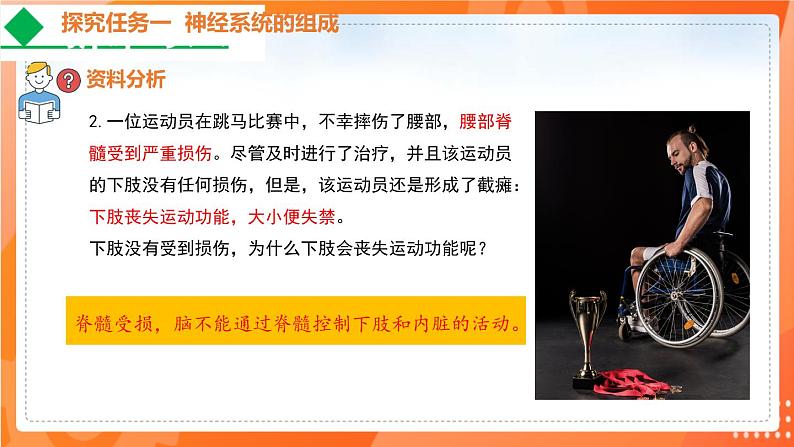 4.6.2神经系统的组成-2021-2022学年七年级生物下学期同步课件（人教版）05