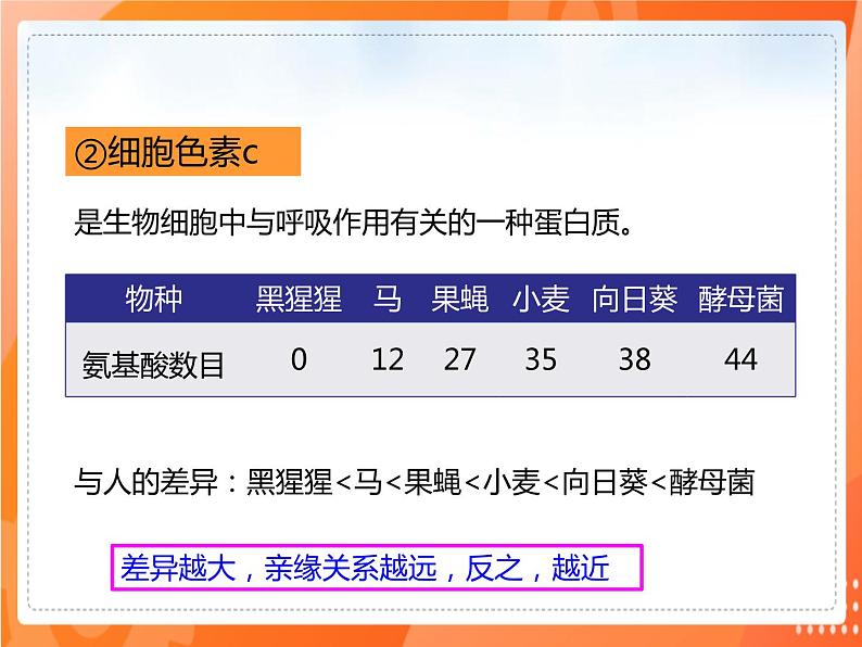 3.2生物进化的历程-2021-2022学年八年级生物下册同步课件（人教版）第5页