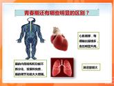 4.1.3青春期（课件）-2021-2022学年七年级生物下册课件（人教版）