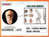 4.1.1人类的起源和发展（课件）-2021-2022学年七年级生物下册课件（人教版）