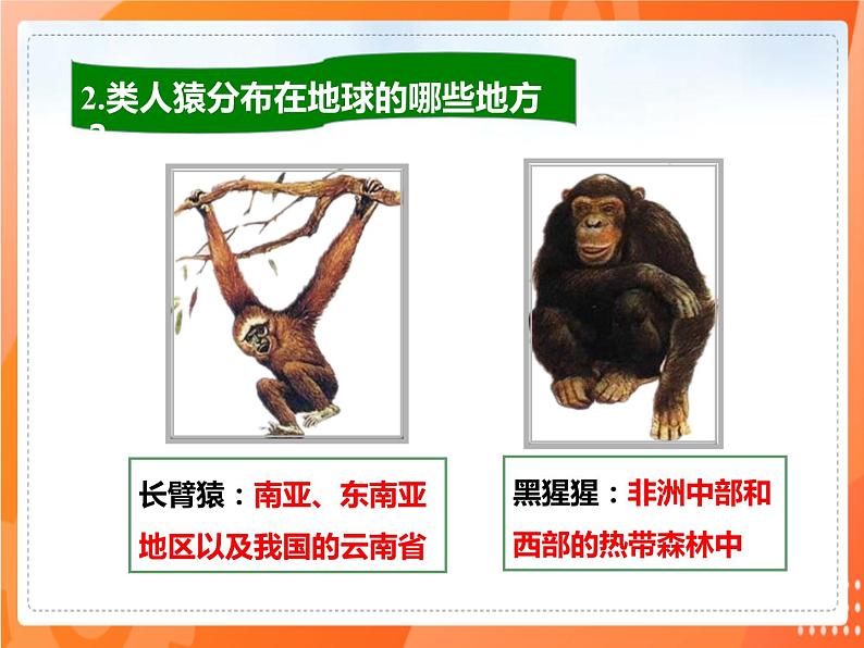 4.1.1人类的起源和发展（课件）-2021-2022学年七年级生物下册课件（人教版）05