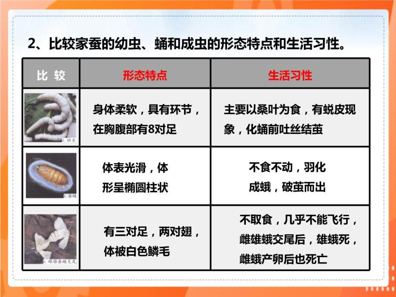 7.1.2昆虫的生殖和发育-2021-2022学年八年级生物下册同步课件（人教版）06