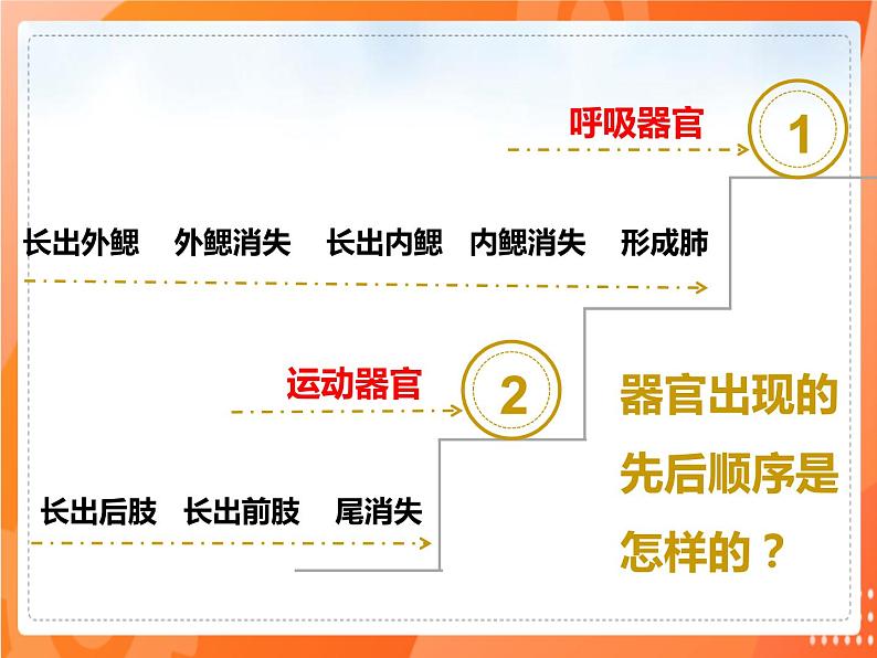 1.3两栖动物的生殖和发育-2021-2022学年八年级生物下册同步课件（人教版）第5页