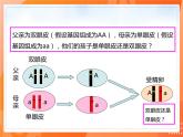 7.2.3基因的显性和隐性-2021-2022学年八年级生物下册同步课件（人教版）