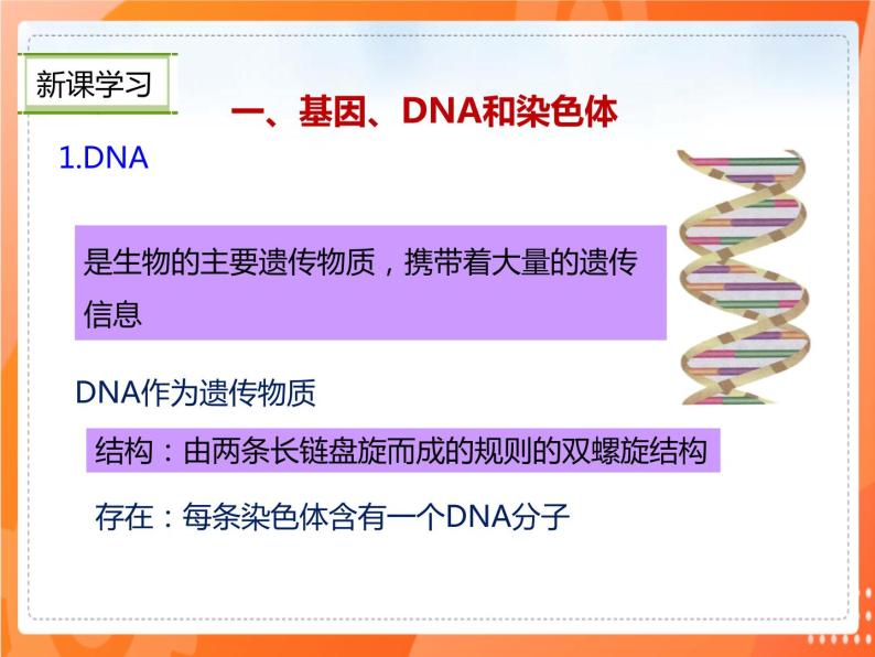 7.2.2基因在亲子代间的传递-2021-2022学年八年级生物下册同步课件（人教版）03