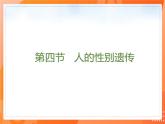 7.2.4人的性别遗传-【精准备课】2021-2022学年八年级生物下册同步课件（人教版）