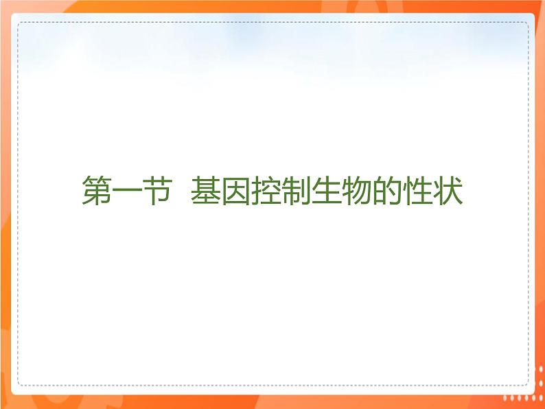 7.2.1基因控制生物的性状-2021-2022学年八年级生物下册同步课件（人教版）03