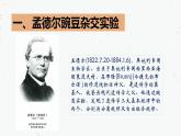 7.2.3基因的显性和隐性-2021-2022学年八年级生物下学期课件（人教版）