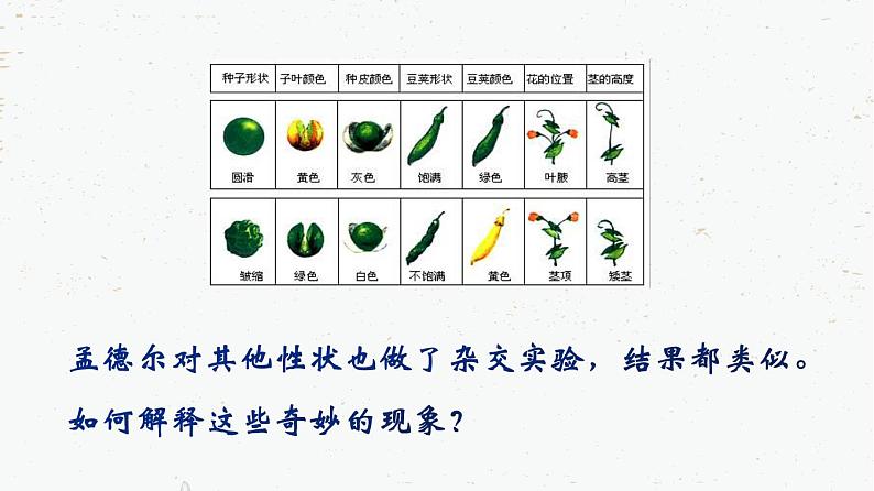 7.2.3基因的显性和隐性-2021-2022学年八年级生物下学期课件（人教版）07