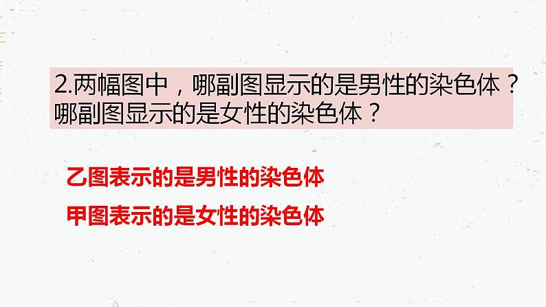 7.2.4人的性别遗传-2021-2022学年八年级生物下学期同步课件（人教版）第8页