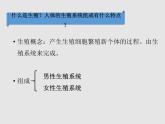 4.1.2人的生殖（教学课件）-初中生物人教版七年级下册