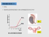 4.1.3青春期（教学课件）-初中生物人教版七年级下册