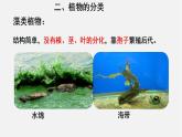 6.1.1尝试对生物进行分类（课件）-2021-2022学年八年级生物上册（人教版）