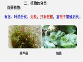 6.1.1尝试对生物进行分类（课件）-2021-2022学年八年级生物上册（人教版）
