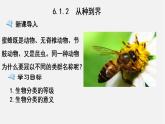 6.1.2从种到界（课件）-2021-2022学年八年级生物上册（人教版）