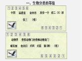 6.1.2从种到界（课件）-2021-2022学年八年级生物上册（人教版）