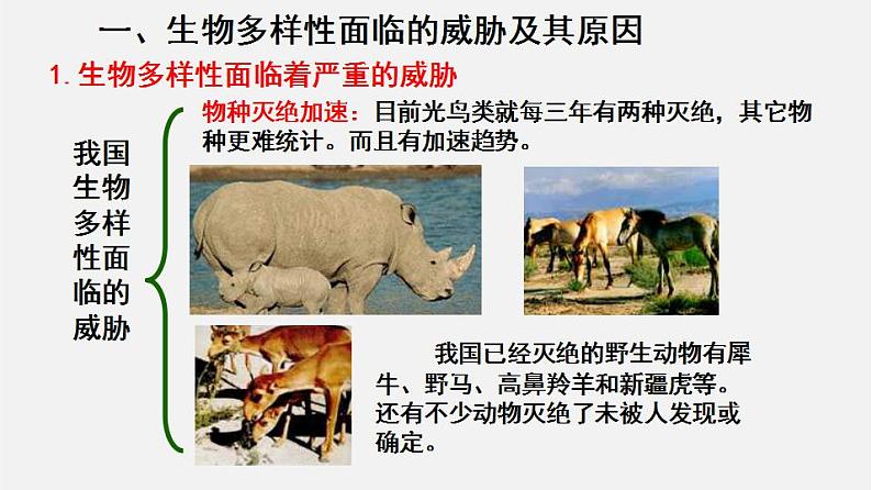 6.3保护生物的多样性（课件）-2021-2022学年八年级生物上册（人教版）06