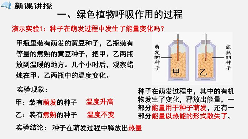 3.5.2绿色植物的呼吸作用（课件）-2021-2022学年七年级生物上册（人教版）第2页