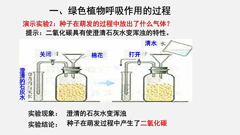 3.5.2绿色植物的呼吸作用（课件）-2021-2022学年七年级生物上册（人教版）第3页