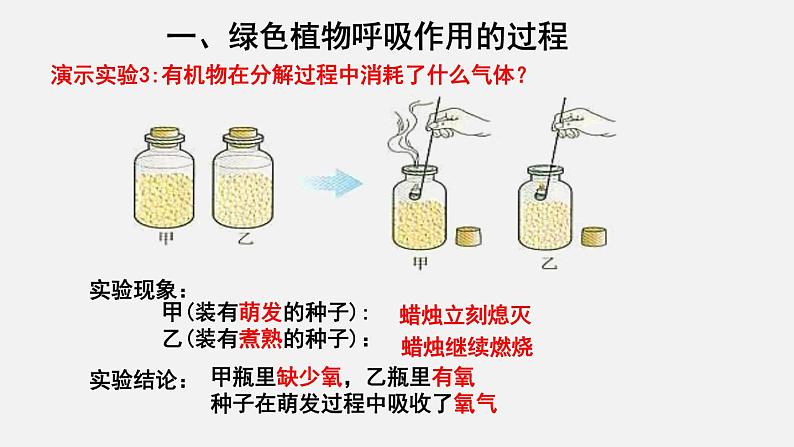 3.5.2绿色植物的呼吸作用（课件）-2021-2022学年七年级生物上册（人教版）第5页