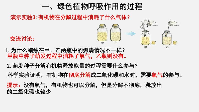 3.5.2绿色植物的呼吸作用（课件）-2021-2022学年七年级生物上册（人教版）第6页