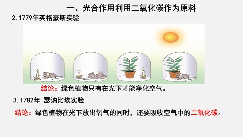 3.5.1光合作用吸收二氧化碳释放氧气（课件）-2021-2022学年七年级生物上册（人教版）第3页