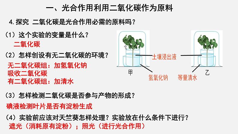 3.5.1光合作用吸收二氧化碳释放氧气（课件）-2021-2022学年七年级生物上册（人教版）第4页