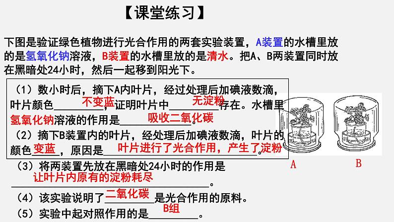 3.5.1光合作用吸收二氧化碳释放氧气（课件）-2021-2022学年七年级生物上册（人教版）第5页