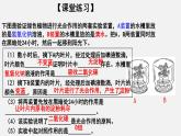 3.5.1光合作用吸收二氧化碳释放氧气（课件）-2021-2022学年七年级生物上册（人教版）