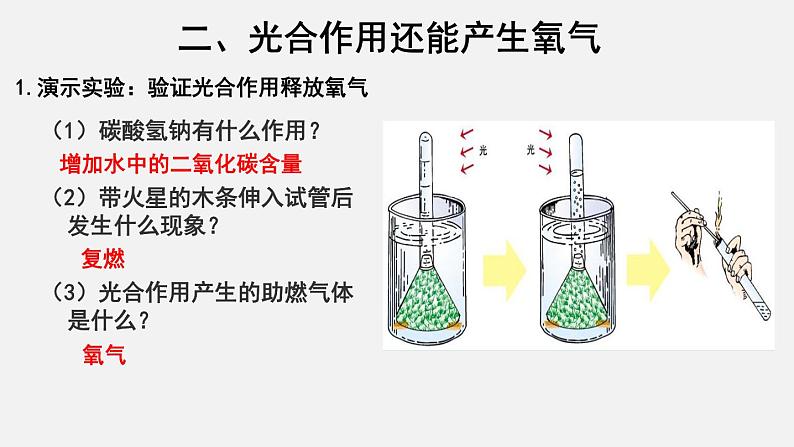 3.5.1光合作用吸收二氧化碳释放氧气（课件）-2021-2022学年七年级生物上册（人教版）第6页