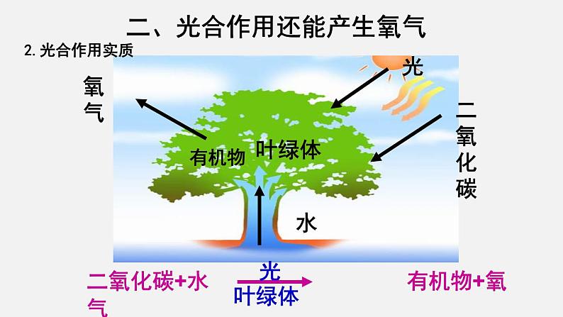 3.5.1光合作用吸收二氧化碳释放氧气（课件）-2021-2022学年七年级生物上册（人教版）第7页