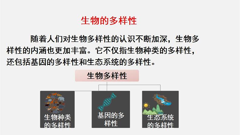 6.2认识生物的多样性（课件）-2021-2022学年八年级生物上册（人教版）第3页