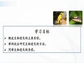 人教版八下生物7.3.3《生物进化的原因》课件+同步练习+素材