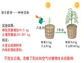 3.5.1 光合作用吸收二氧化碳释放氧气课件 2021-2022学年人教版七年级上生物