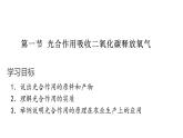 3.5.1 光合作用吸收二氧化碳释放氧气课件 2021-2022学年人教版七年级上生物