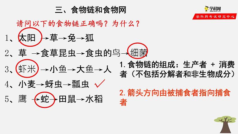 1.2.2 生物与环境组成生态系统（第2课时）（课件）-2021-2022学年七年级生物上册（人教版）第3页