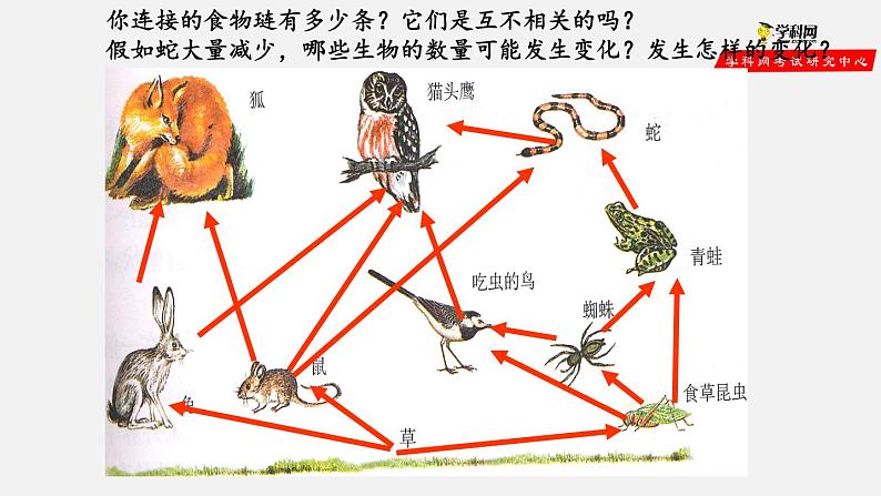 1.2.2 生物与环境组成生态系统（第2课时）（课件）-2021-2022学年七年级生物上册（人教版）第5页