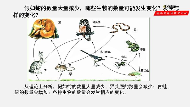 1.2.2 生物与环境组成生态系统（第2课时）（课件）-2021-2022学年七年级生物上册（人教版）第6页