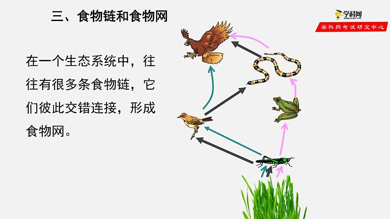 1.2.2 生物与环境组成生态系统（第2课时）（课件）-2021-2022学年七年级生物上册（人教版）第7页