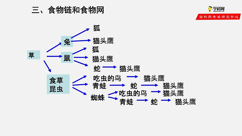 1.2.2 生物与环境组成生态系统（第2课时）（课件）-2021-2022学年七年级生物上册（人教版）第8页