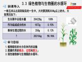 3.3 绿色植物与生物圈的水循环（课件）-2021-2022学年七年级生物上册（人教版）