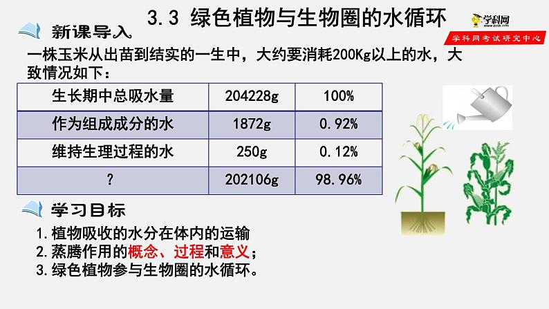 3.3 绿色植物与生物圈的水循环（课件）-2021-2022学年七年级生物上册（人教版）第1页