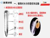 3.3 绿色植物与生物圈的水循环（课件）-2021-2022学年七年级生物上册（人教版）