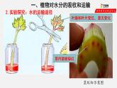 3.3 绿色植物与生物圈的水循环（课件）-2021-2022学年七年级生物上册（人教版）