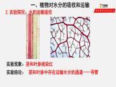 3.3 绿色植物与生物圈的水循环（课件）-2021-2022学年七年级生物上册（人教版）