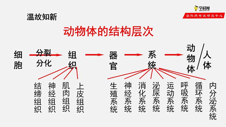 2.2.3 植物体的结构层次（课件）-2021-2022学年七年级生物上册（人教版）第1页